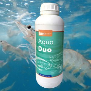 bm aqua duo tăng cường sức khỏe 1l