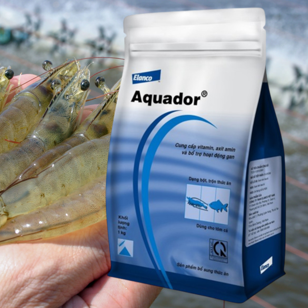 by aquador giải độc & phục hồi gan tụy 1kg by aquador giải độc & phục hồi gan tụy 1kg