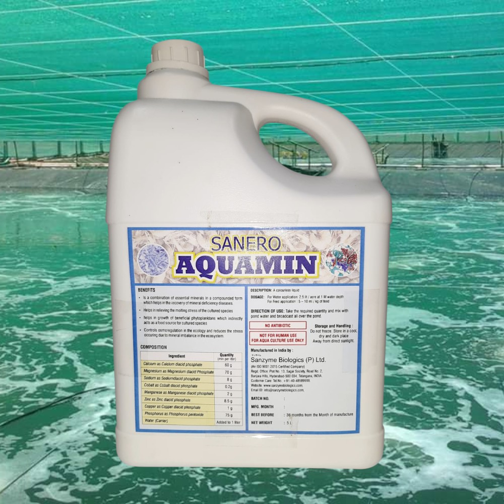 aquamin bg 2