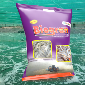 il biogran vi sinh hạt xử lý đáy 5kg