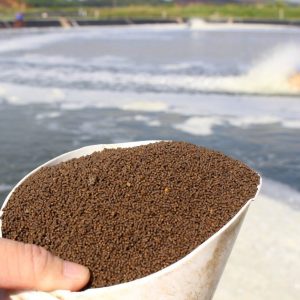 nth gut pro men đường ruột el 500g