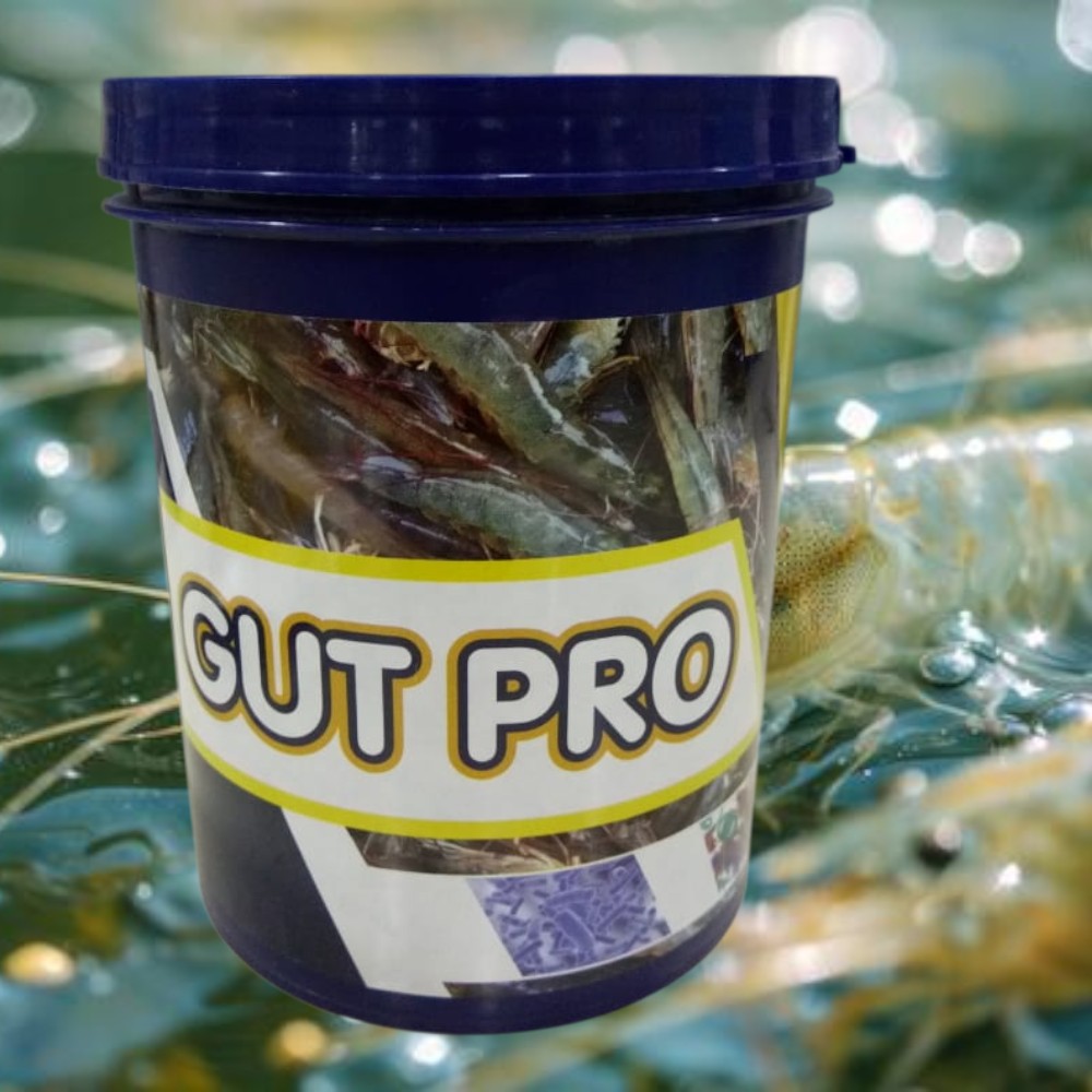 gut pro bg 2