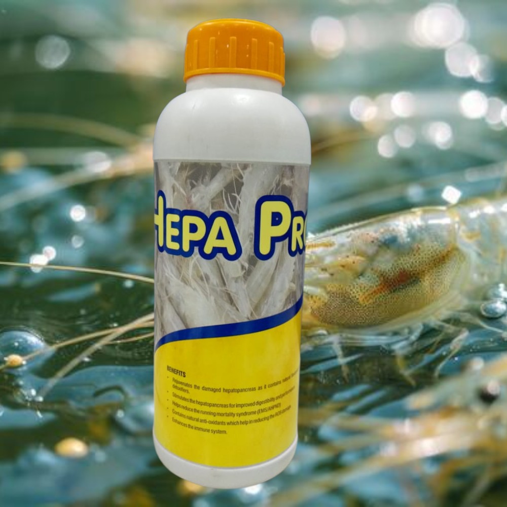 hepa pro bg 2