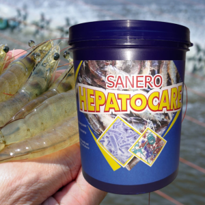 nth hepatocare phục hồi chức năng gan sz 500g
