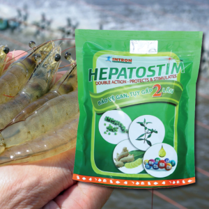 sz hepatocare phục hồi gan tụy 500g