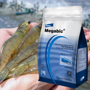 by megabic men đường ruột 1kg