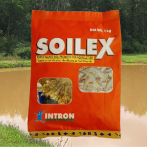 il soilex khử phèn, khí độc và xử lý đáy 1kg
