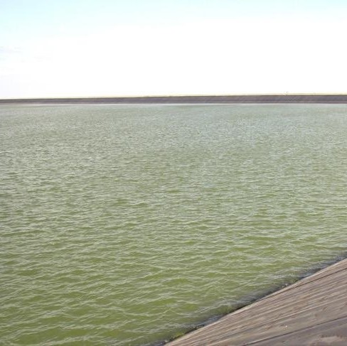 by proquatic b color tạo màu xanh & kiểm soát tảo 500g by proquatic b color tạo màu xanh & kiểm soát tảo 500g