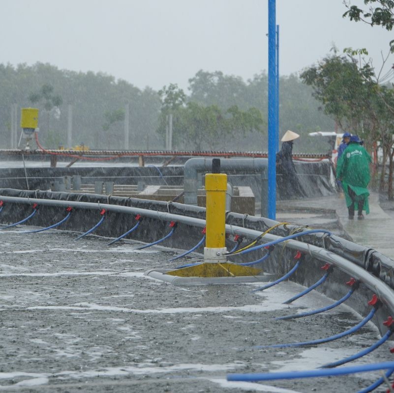 hhn vitamin c sủi chống sốc và tăng đề kháng 5kg hhn vitamin c sủi chống sốc và tăng đề kháng 5kg