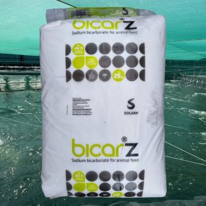 sy bicarz nâng kiềm nhanh 25kg