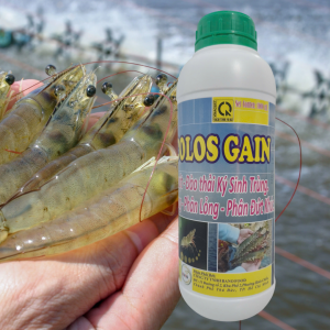 bano colos gain siêu men đường ruột 1l