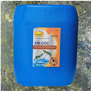 rh chế phẩm em gốc siêu men vi sinh