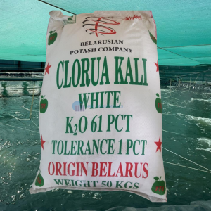 bl kali clorua nguyên liệu belarus 50kg