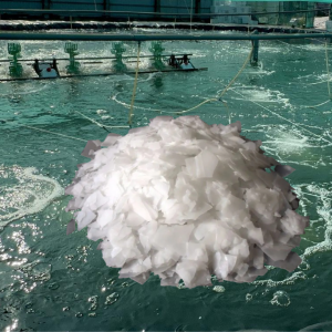 gi xút vảy xử lý môi trường 25kg