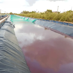 mc thuốc tím xử lý môi trường 25kg