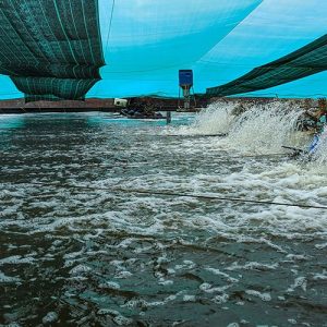 nk etda 4na chuyên khử kim loại nặng 25kg