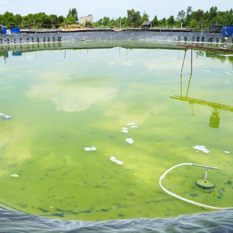 sy bicarz nâng kiềm nhanh 25kg sy bicarz nâng kiềm nhanh 25kg