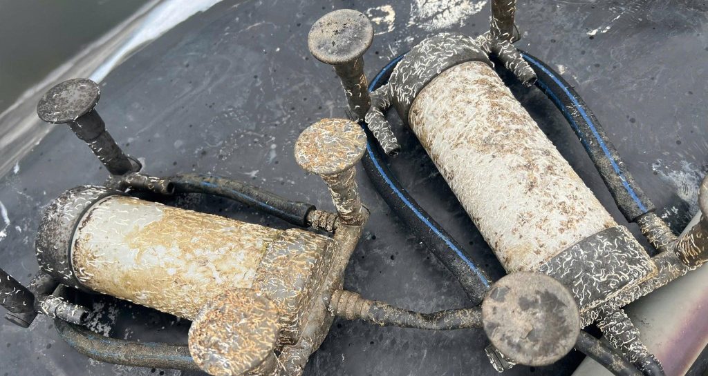 Nấm đồng tiền trong ao nuôi: Tác hại và cách kiểm soát nấm đồng tiền trong ao nuôi tôm